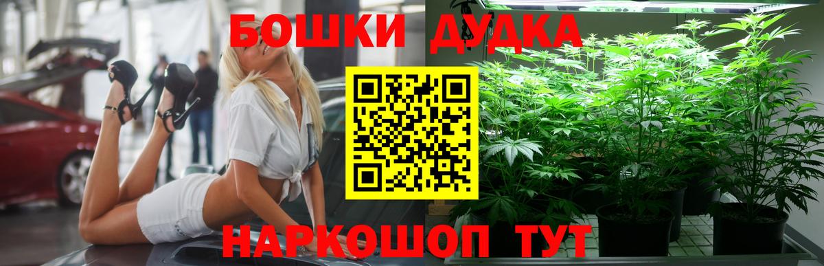МАРИХУАНА семена  Вход с VPN  Канабис планчик  Конопля конопля  Новокубанск 